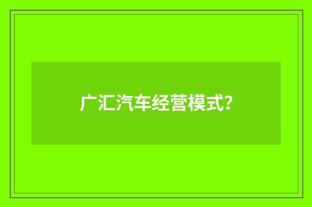 广汇汽车经营模式？