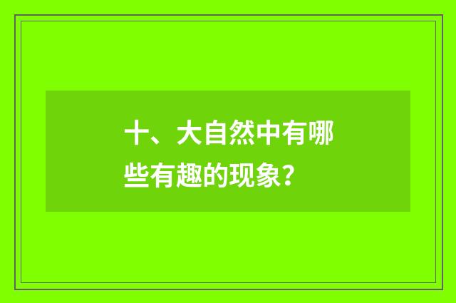 十、大自然中有哪些有趣的现象？