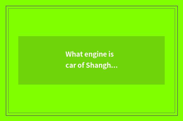 What engine is car of Shanghai China general?