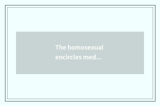 The homosexual encircles medium current situation in recreation