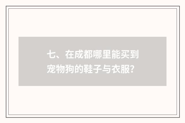 七、在成都哪里能买到宠物狗的鞋子与衣服?