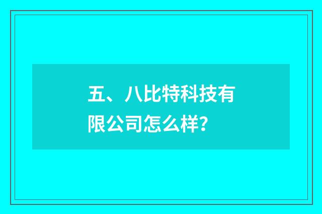 五、八比特科技有限公司怎么样？