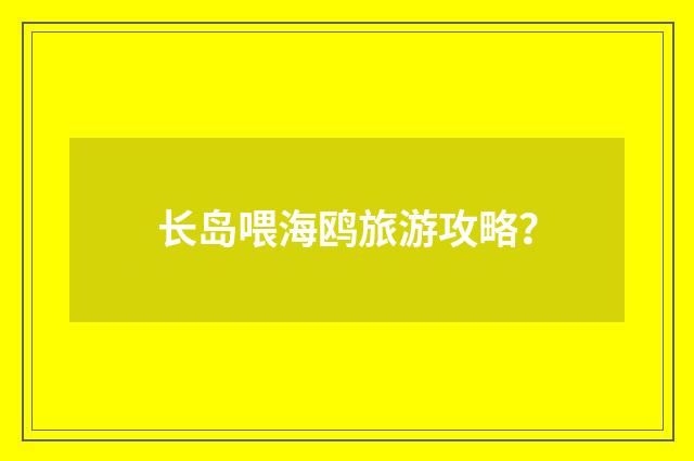 长岛喂海鸥旅游攻略?