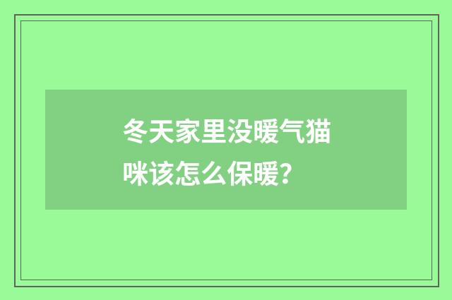 冬天家里没暖气猫咪该怎么保暖?