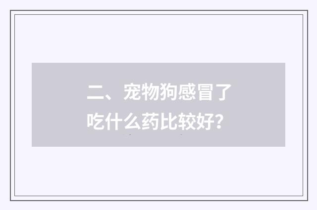 二、宠物狗感冒了吃什么药比较好?