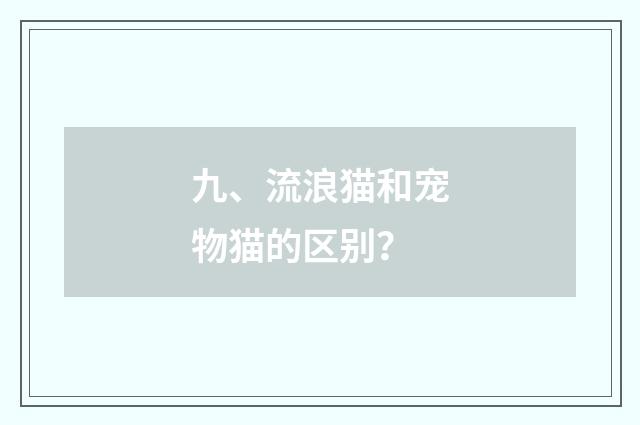 九、流浪猫和宠物猫的区别?