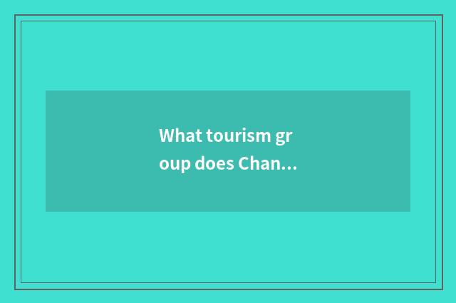 What tourism group does Changchun travel agent have now?