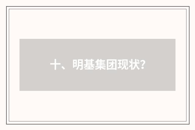 十、明基集团现状?
