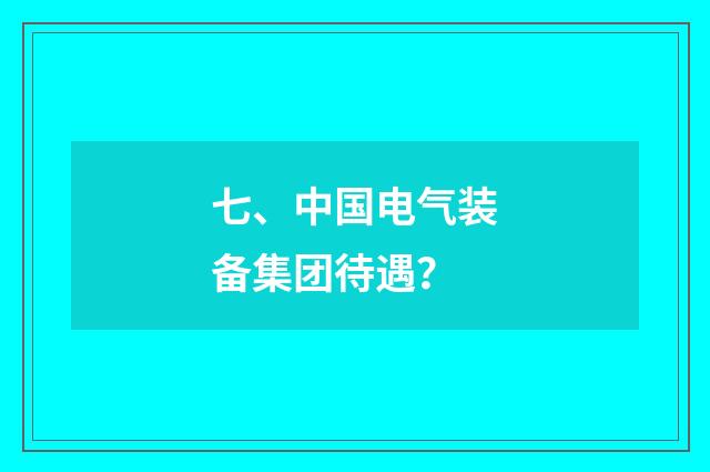 七、中国电气装备集团待遇？