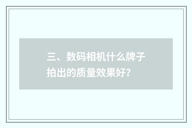 三、数码相机什么牌子拍出的质量效果好?