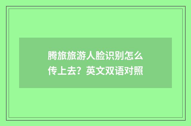 腾旅旅游人脸识别怎么传上去？英文双语对照