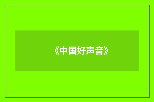 《中国好声音》