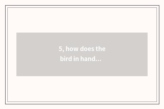 5, how does the bird in handle machine video make set for ring?