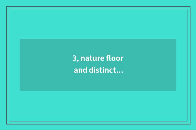3, nature floor and distinction of entrance nature floor?