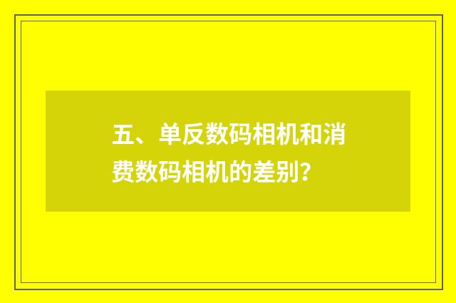 五、单反数码相机和消费数码相机的差别?