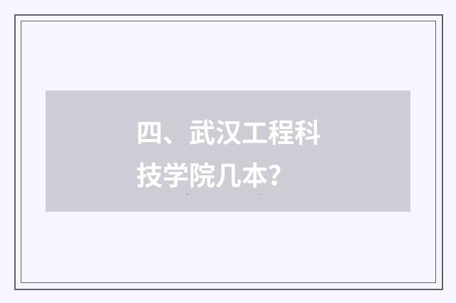 四、武汉工程科技学院几本?