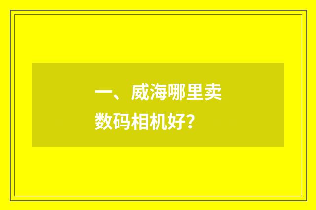 一、威海哪里卖数码相机好？