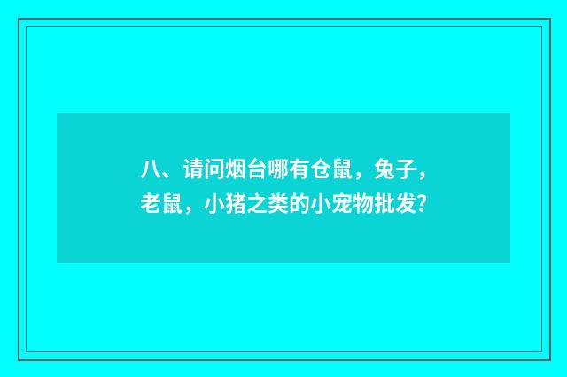 八、请问烟台哪有仓鼠,兔子,老鼠,小猪之类的小宠物批发?