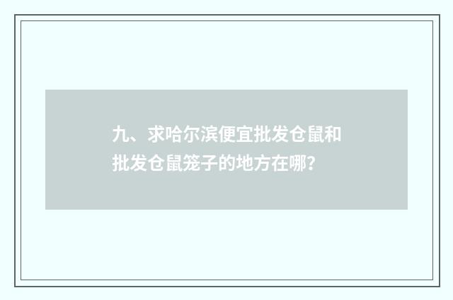 九、求哈尔滨便宜批发仓鼠和批发仓鼠笼子的地方在哪?