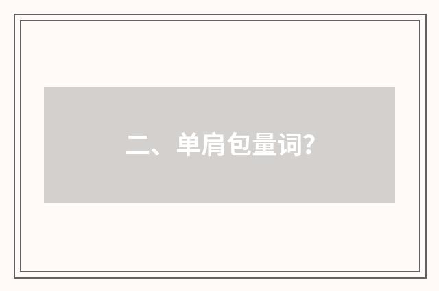二、单肩包量词?