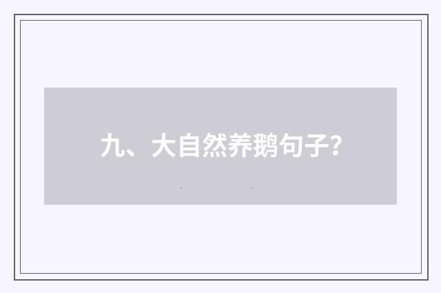 九、大自然养鹅句子？