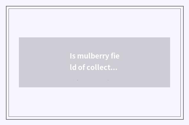 Is mulberry field of collect hill north belonged to which street?