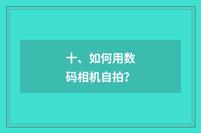 十、如何用数码相机自拍？