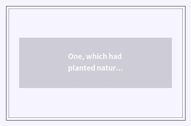 One, which had planted nature wood door and Tata wood door?