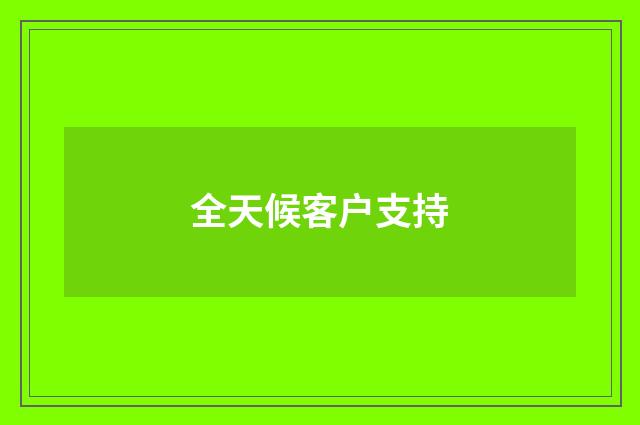 全天候客户支持