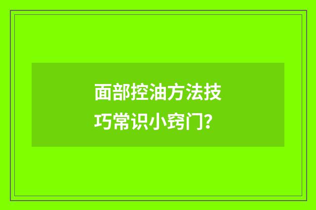 面部控油方法技巧常识小窍门?