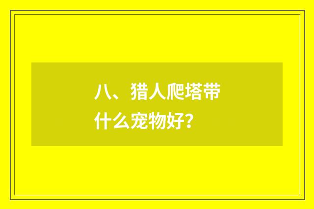 八、猎人爬塔带什么宠物好?