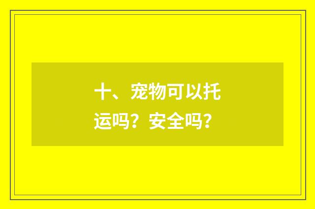 十、宠物可以托运吗?安全吗?