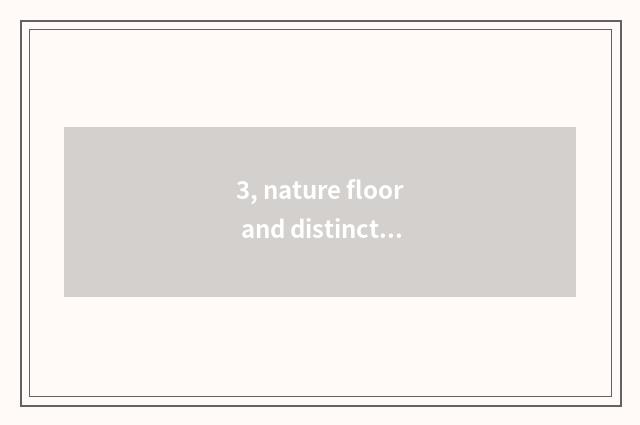 3, nature floor and distinction of entrance nature floor?
