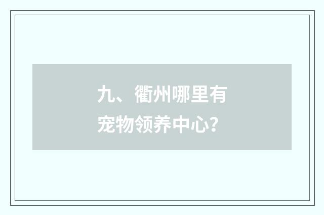 九、衢州哪里有宠物领养中心？