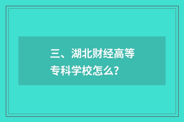 三、湖北财经高等专科学校怎么?