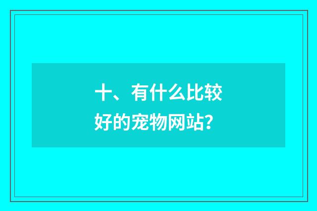 十、有什么比较好的宠物网站?