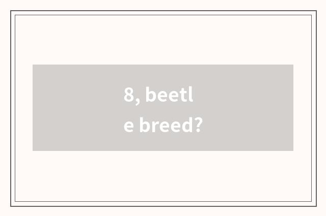 8, beetle breed?