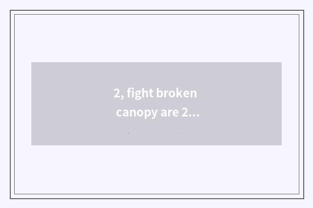 2, fight broken canopy are 2 game interesting?