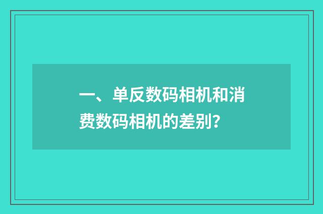 一、单反数码相机和消费数码相机的差别?