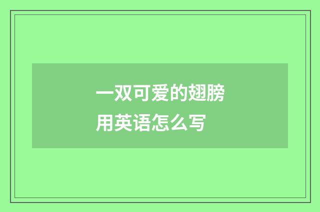 一双可爱的翅膀用英语怎么写