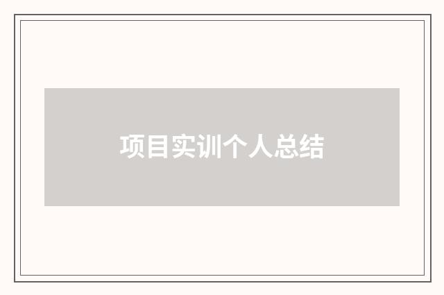 项目实训个人总结