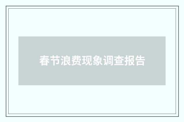 春节浪费现象调查报告
