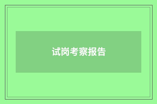 试岗考察报告
