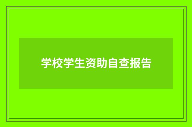 学校学生资助自查报告