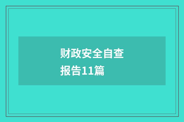 财政安全自查报告11篇