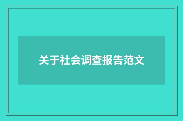 关于社会调查报告范文