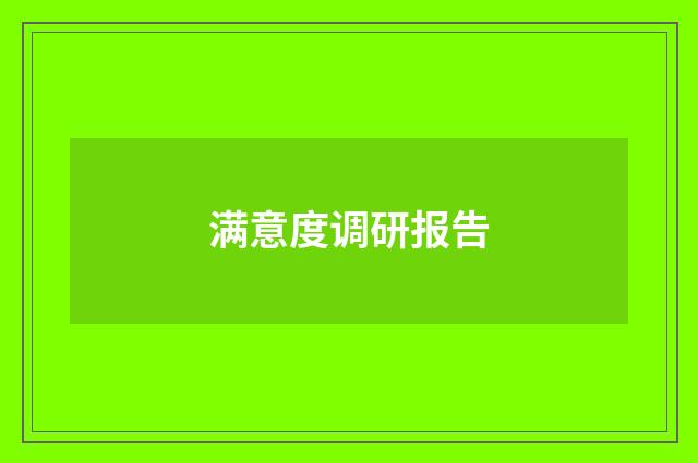 满意度调研报告
