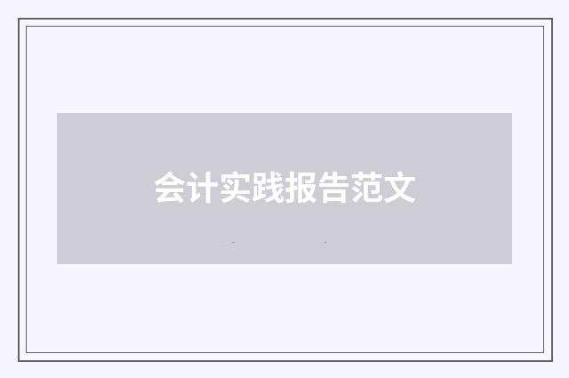 会计实践报告范文