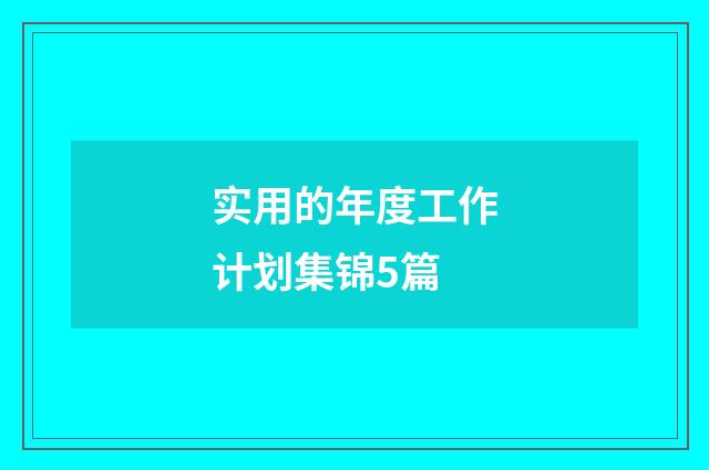 实用的年度工作计划集锦5篇