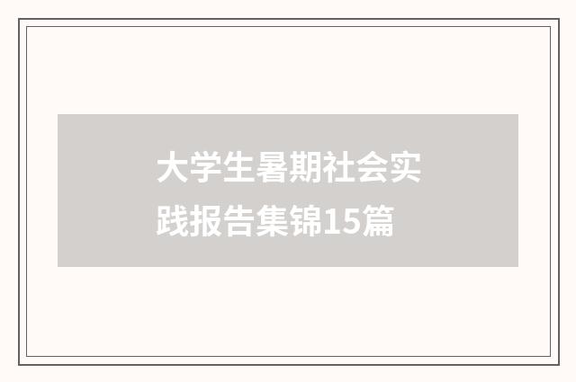 大学生暑期社会实践报告集锦15篇